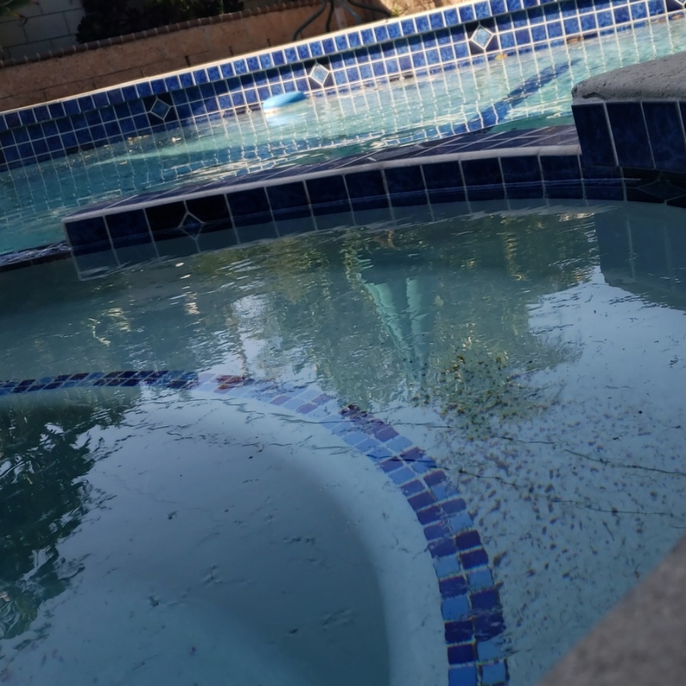 Meet your Posher, Paulina